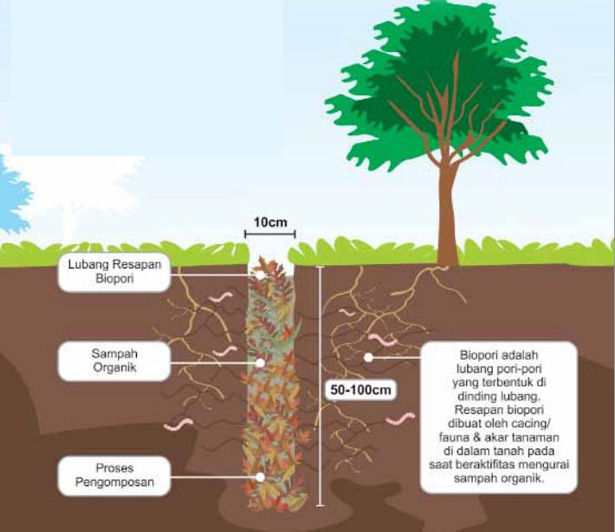 4  Manfaat Biopori untuk Lingkungan