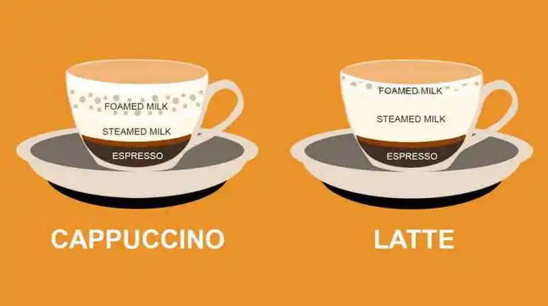 Perbedaan Cappuccino dan Latte: Lebih dari Sekedar Kopi Susu